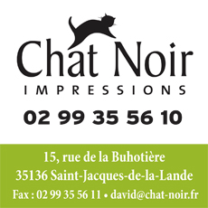 chat noir impressions